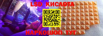 дживик Можга