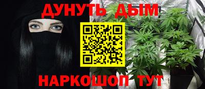 дживик Можга