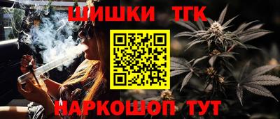 дживик Можга