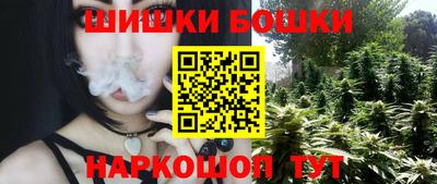 дживик Можга