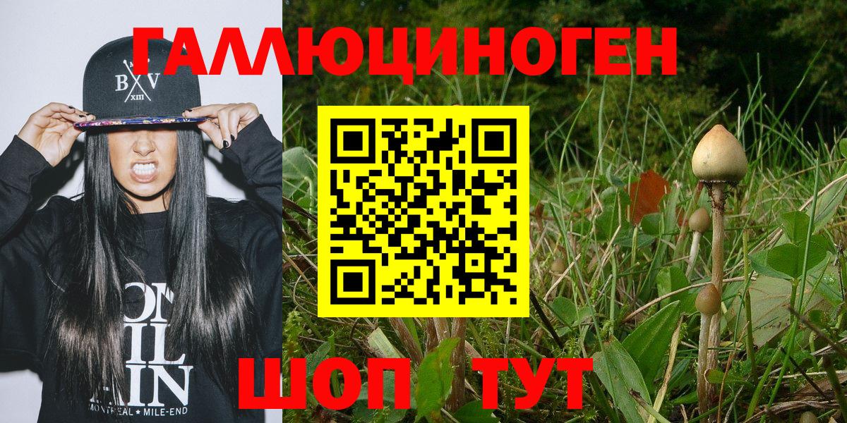 Галлюциногенные грибы Magic Shrooms  Вход с VPN  Галлюциногенные грибы Psilocybe  Славгород 