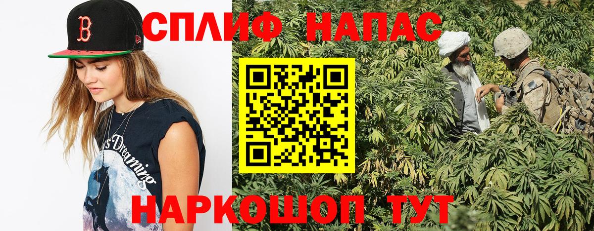 Конопля SATIVA & INDICA  Марихуана сатива  Вход с VPN  Славгород  Марихуана планчик  Марихуана гибрид 